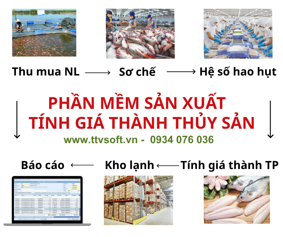 Quản lý kinh doanh, sản xuất doanh nghiệp chế biến thủy hải sản